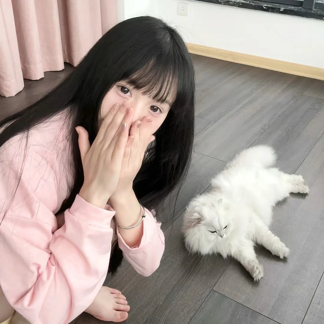 代号：皇帝