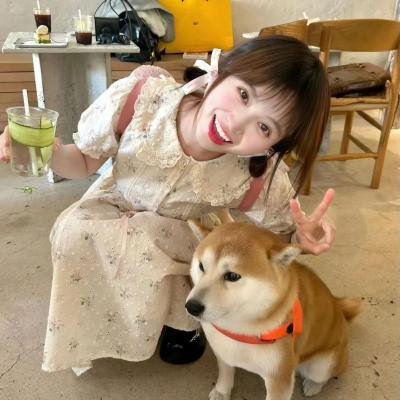 她和她的美丽岛